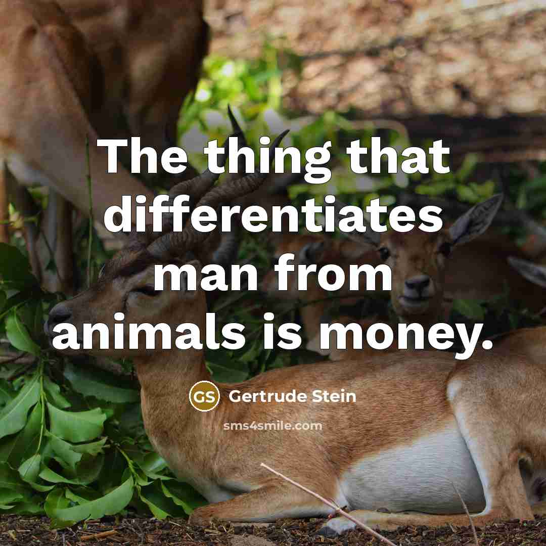 “The thing that differentiates man from animals is money.” quote by Gertrude Stein