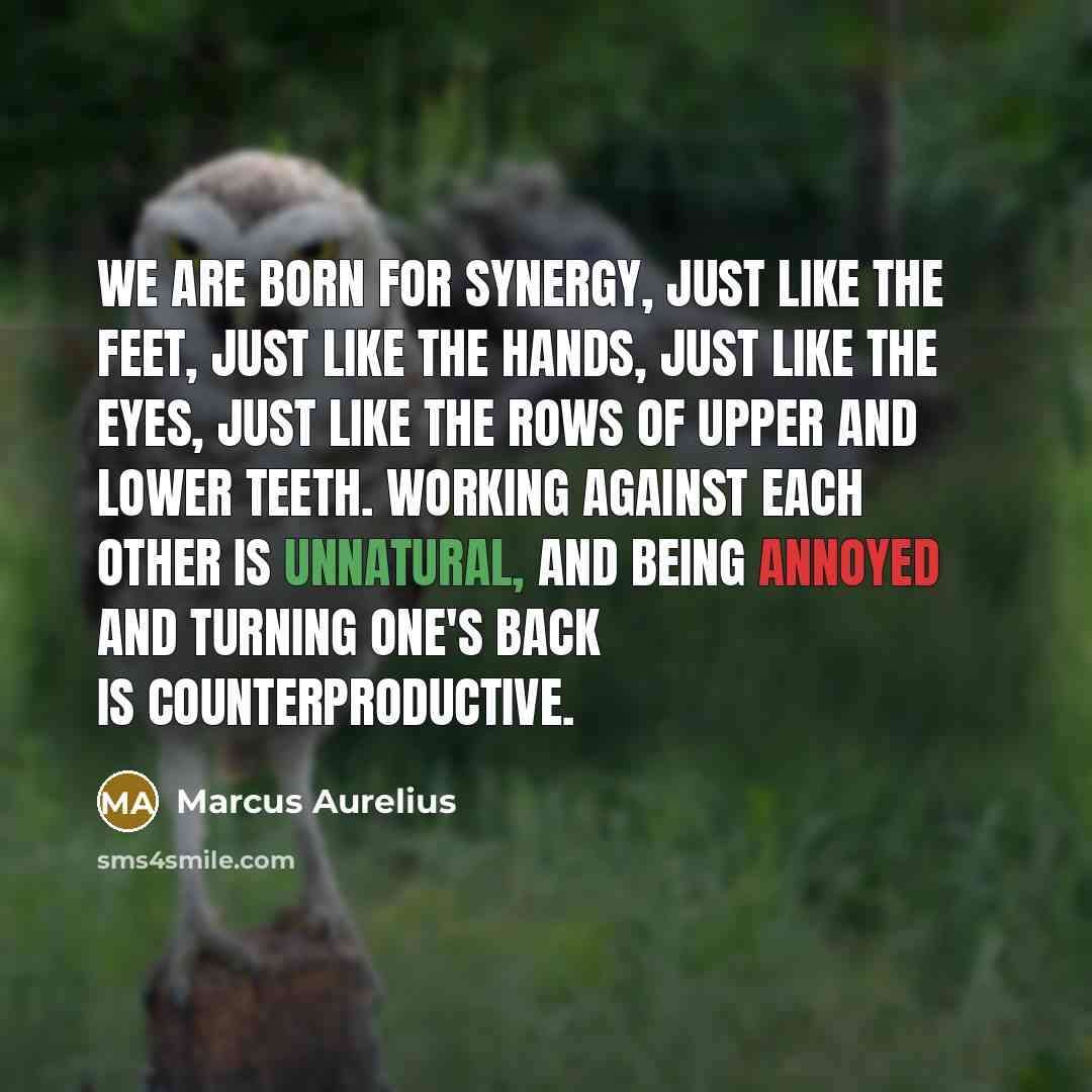 “We are born for synergy, just like the feet, just like the hands, just like the eyes, just like the rows of upper and lower teeth. Working against each other is unnatural, and being annoyed and turning one's back is counterproductive.” quote by Marcus Aurelius
