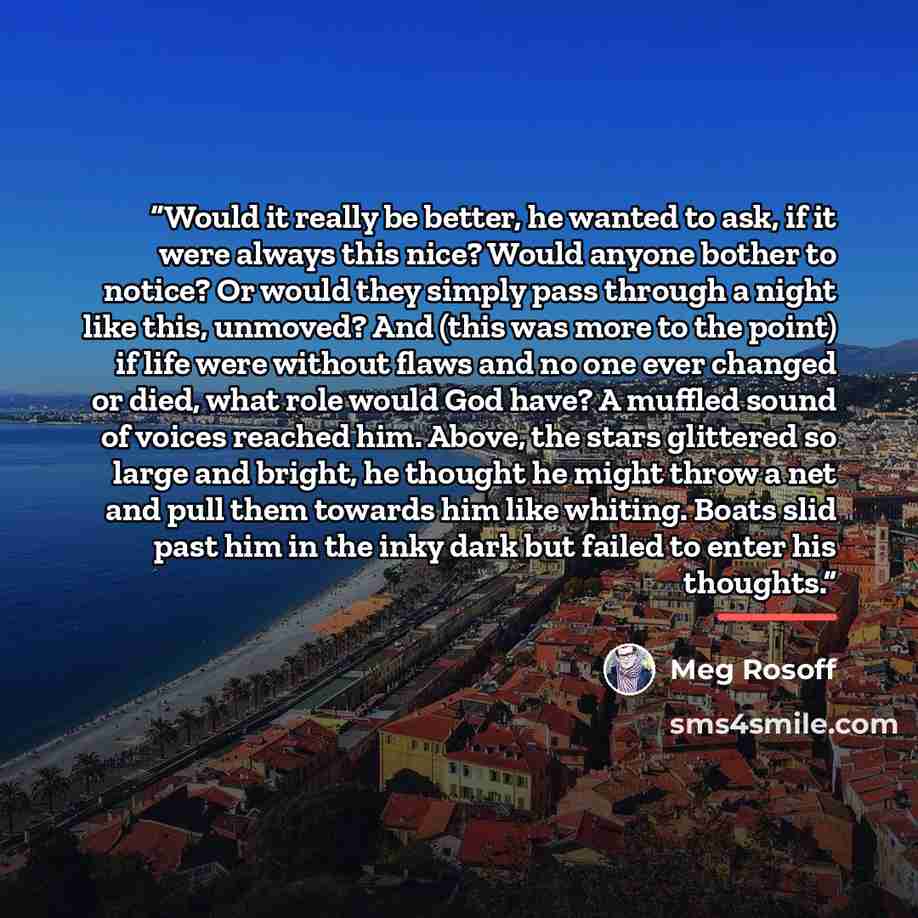 “Would it really be better, he wanted to ask, if it were always this nice? Would anyone bother to notice? Or would they simply pass through a night like this, unmoved? And (this was more to the point) if life were without flaws and no one ever changed or died, what role would God have? A muffled…” quote by Meg Rosoff