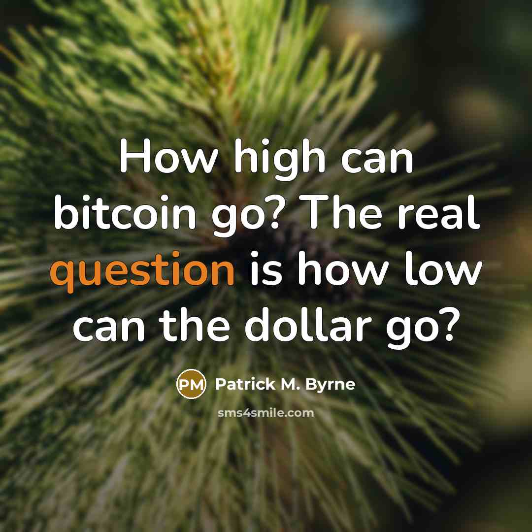 “How high can bitcoin go? The real question is how low can the dollar go?” quote by Patrick M. Byrne