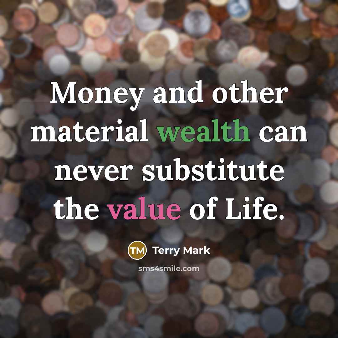 “Money and other material wealth can never substitute the value of Life.” quote by Terry Mark
