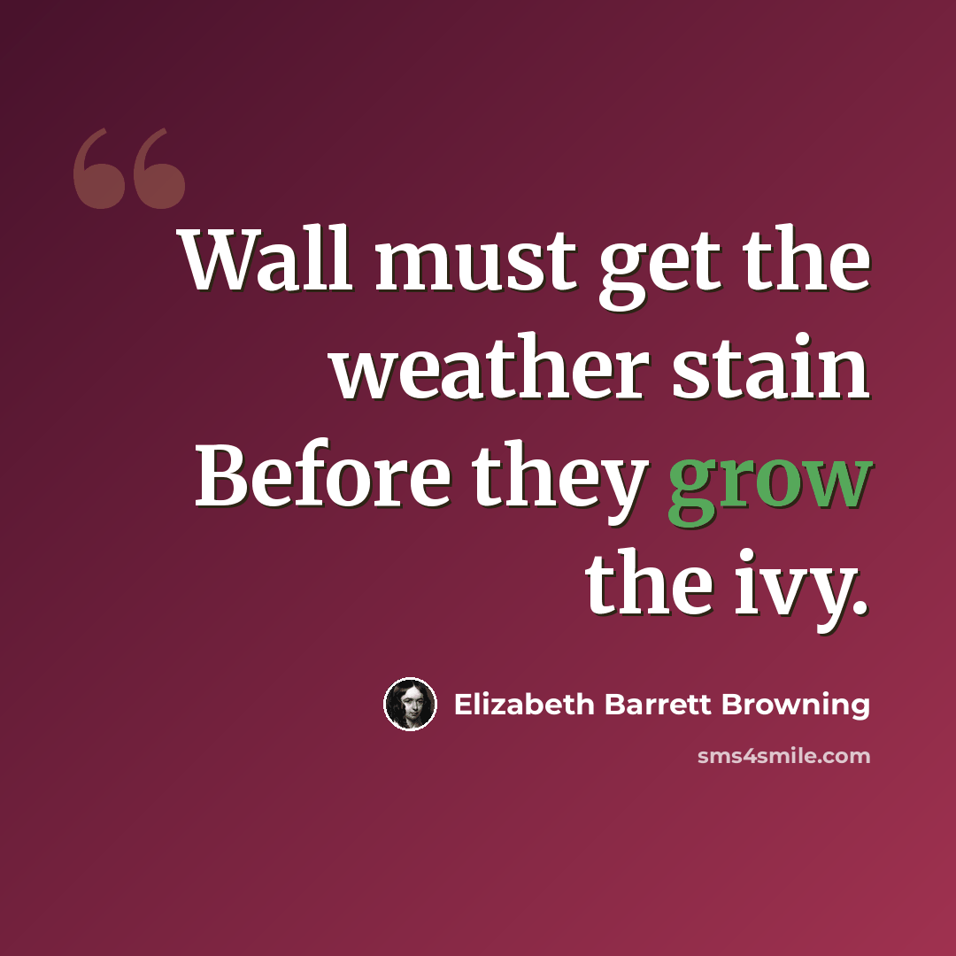 “Wall must get the weather stain Before they grow the ivy.” quote by Elizabeth Barrett Browning