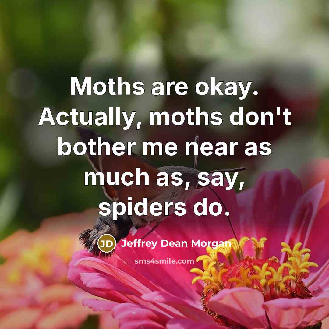 “Moths are okay. Actually, moths don't bother me near as much as, say, spiders do.” quote by Jeffrey Dean Morgan