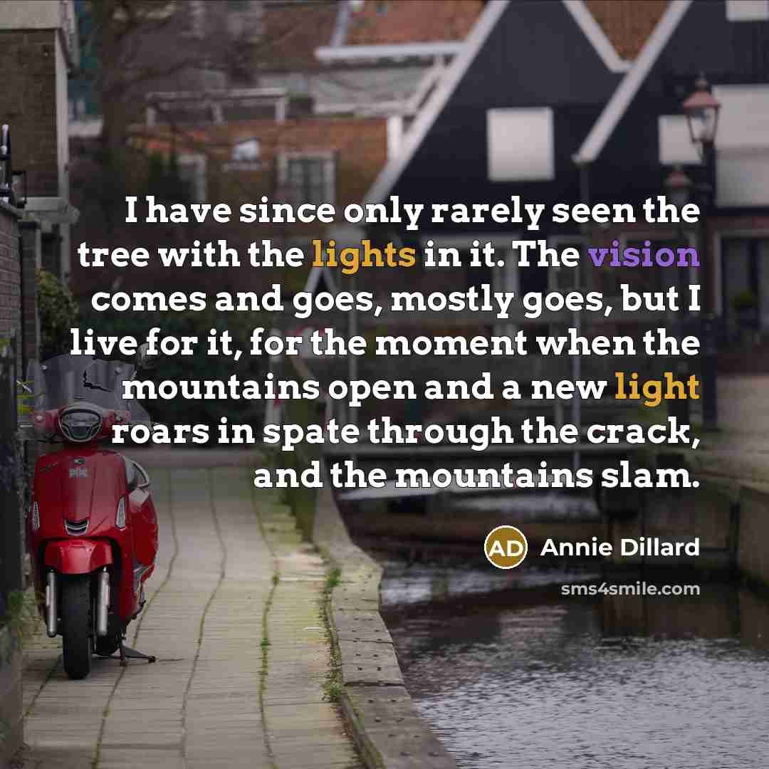 “I have since only rarely seen the tree with the lights in it. The vision comes and goes, mostly goes, but I live for it, for the moment when the mountains open and a new light roars in spate through the crack, and the mountains slam.” quote by Annie Dillard