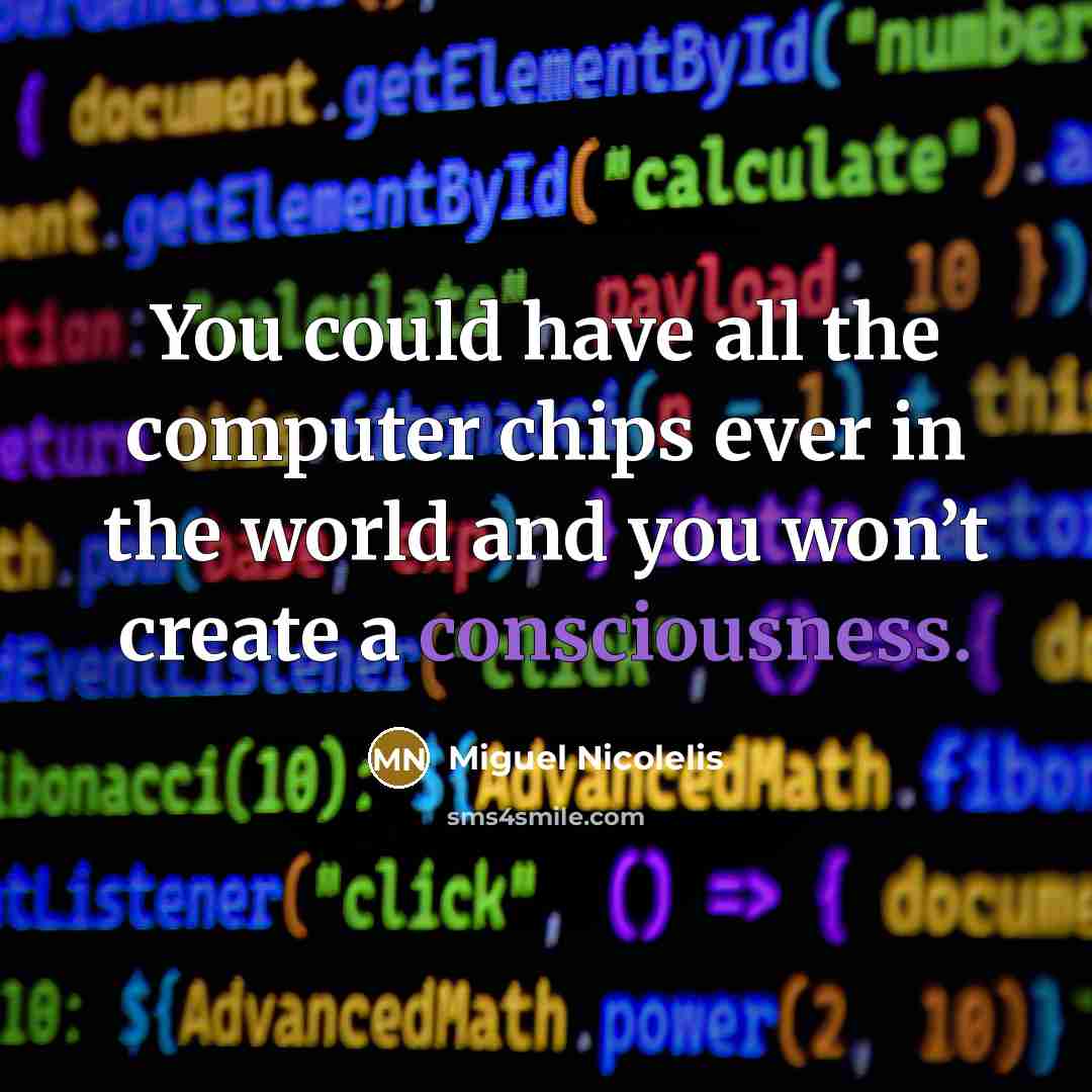 “You could have all the computer chips ever in the world and you won’t create a consciousness.” quote by Miguel Nicolelis