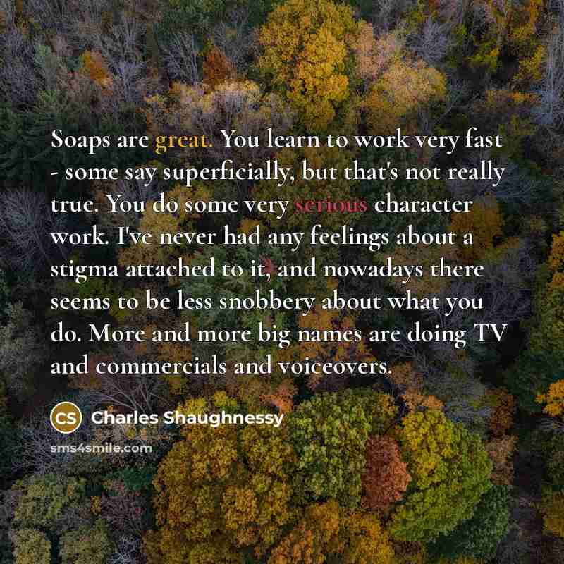 “Soaps are great. You learn to work very fast - some say superficially, but that's not really true. You do some very serious character work. I've never had any feelings about a stigma attached to it, and nowadays there seems to be less snobbery about what you do. More and more big names are doing…” quote by Charles Shaughnessy