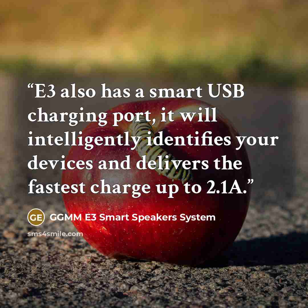 “E3 also has a smart USB charging port, it will intelligently identifies your devices and delivers the fastest charge up to 2.1A.” quote by GGMM E3 Smart Speakers System