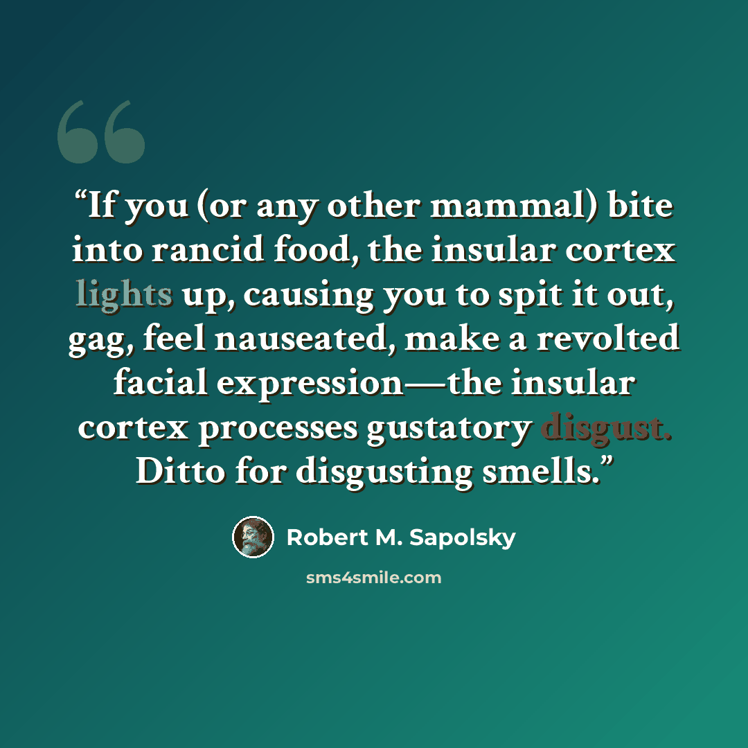 “If you (or any other mammal) bite into rancid food, the insular cortex lights up, causing you to spit it out, gag, feel nauseated, make a revolted facial expression—the insular cortex processes gustatory disgust. Ditto for disgusting smells.” quote by Robert M. Sapolsky