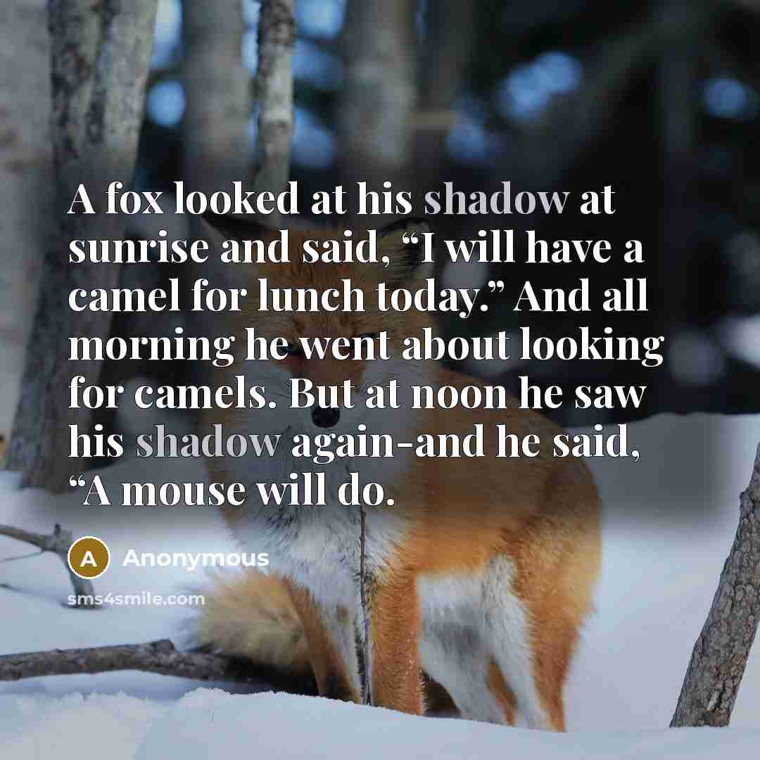 “A fox looked at his shadow at sunrise and said, “I will have a camel for lunch today.” And all morning he went about looking for camels. But at noon he saw his shadow again-and he said, “A mouse will do.” quote by Anonymous