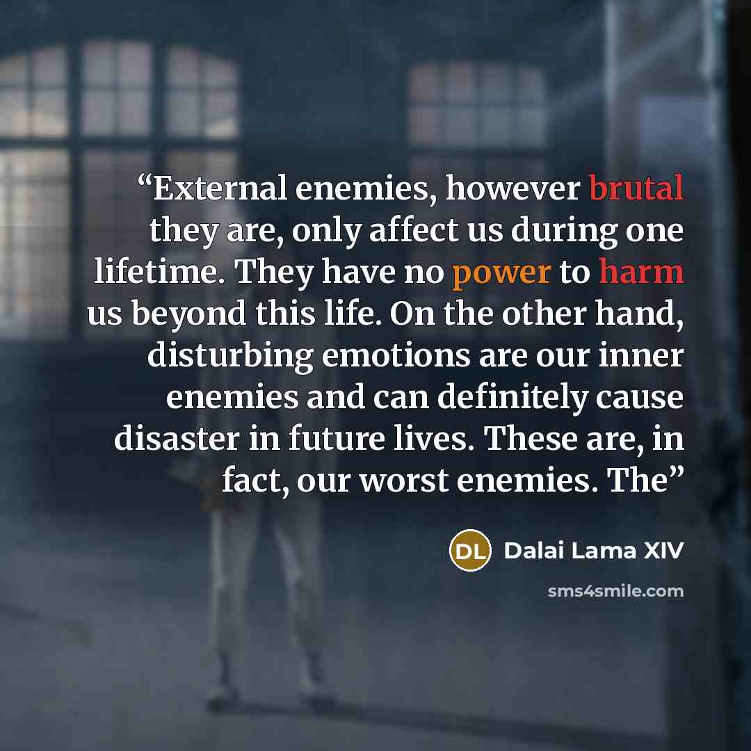 “External enemies, however brutal they are, only affect us during one lifetime. They have no power to harm us beyond this life. On the other hand, disturbing emotions are our inner enemies and can definitely cause disaster in future lives. These are, in fact, our worst enemies. The” quote by Dalai Lama XIV