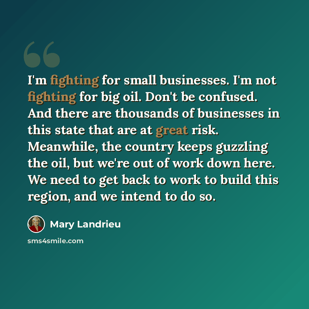 “I'm fighting for small businesses. I'm not fighting for big oil. Don't be confused. And there are thousands of businesses in this state that are at great risk. Meanwhile, the country keeps guzzling the oil, but we're out of work down here. We need to get back to work to build this region, and we…” quote by Mary Landrieu