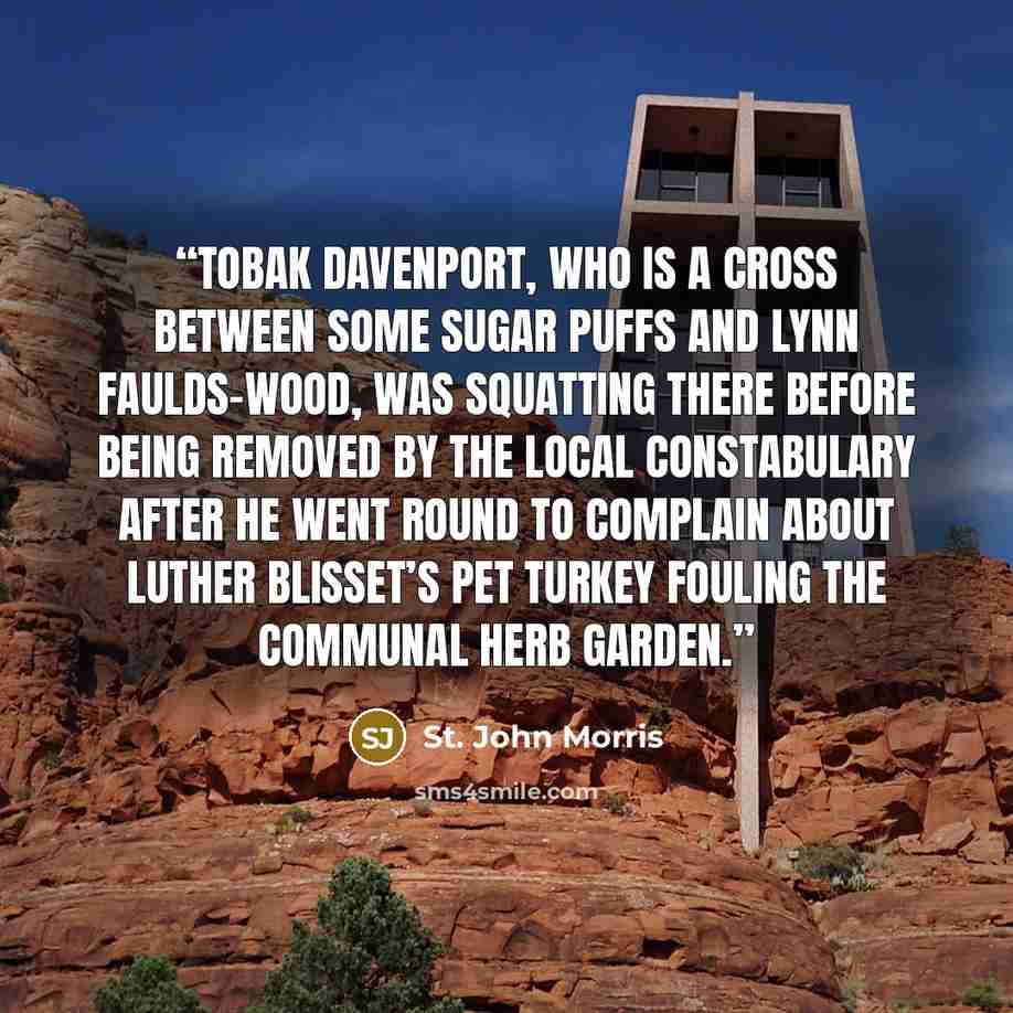 “Tobak Davenport, who is a cross between some Sugar Puffs and Lynn Faulds-Wood, was squatting there before being removed by the local constabulary after he went round to complain about Luther Blisset’s pet turkey fouling the communal herb garden.” quote by St. John Morris
