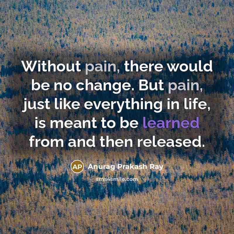 “Without pain, there would be no change. But pain, just like everything in life, is meant to be learned from and then released.” quote by Anurag Prakash Ray