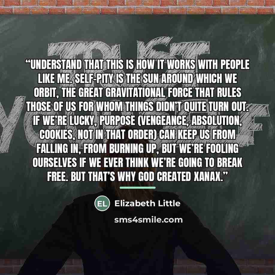 “Understand that this is how it works with people like me. Self-pity is the sun around which we orbit, the great gravitational force that rules those of us for whom Things Didn’t Quite Turn Out. If we’re lucky, purpose (vengeance, absolution, cookies, not in that order) can keep us from falling in…” quote by Elizabeth Little