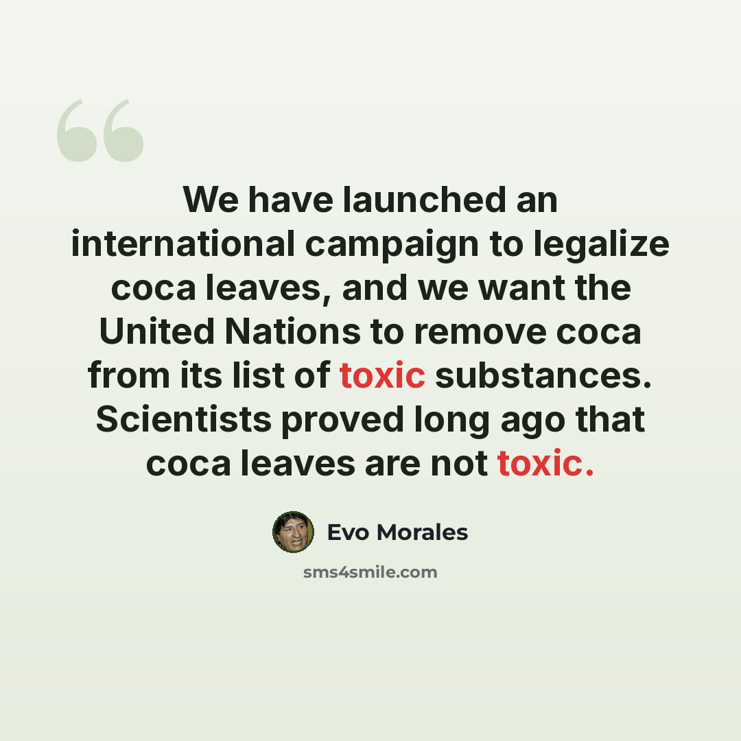 “We have launched an international campaign to legalize coca leaves, and we want the United Nations to remove coca from its list of toxic substances. Scientists proved long ago that coca leaves are not toxic.” quote by Evo Morales