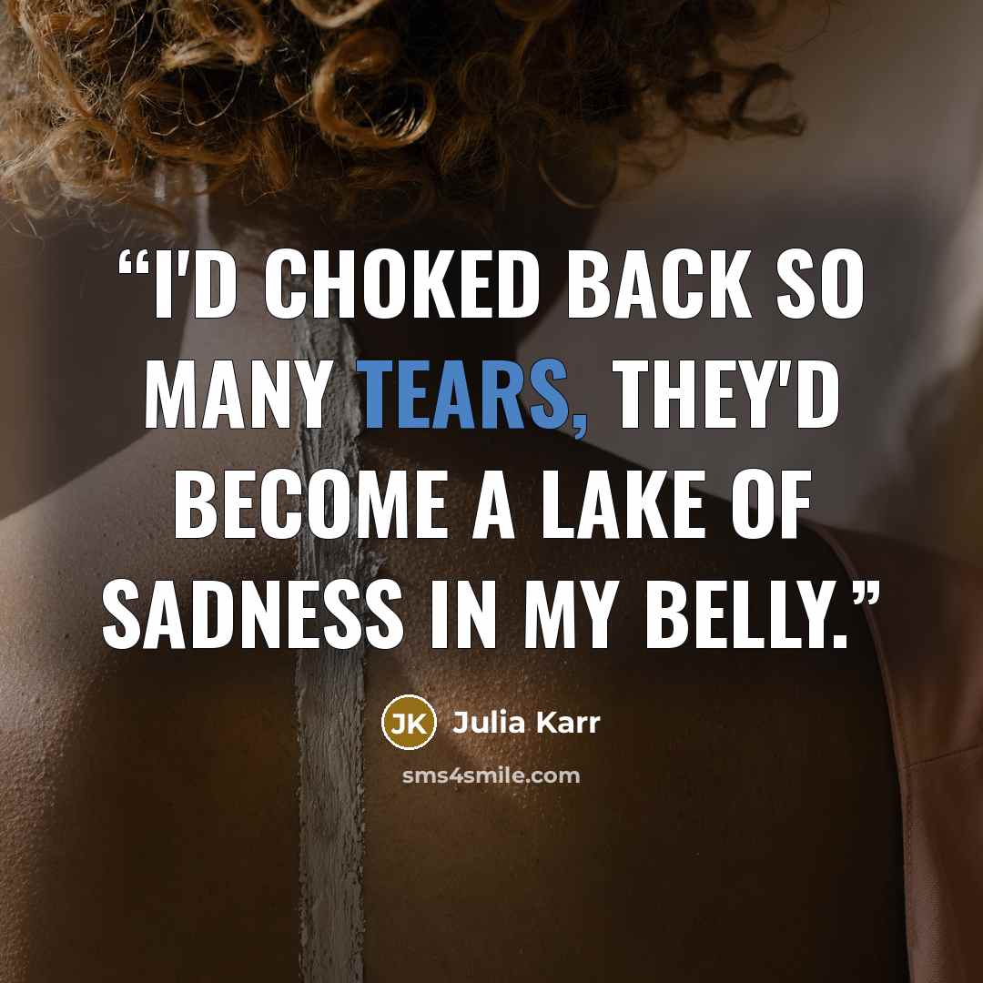 “I'd choked back so many tears, they'd become a lake of sadness in my belly.” quote by Julia Karr