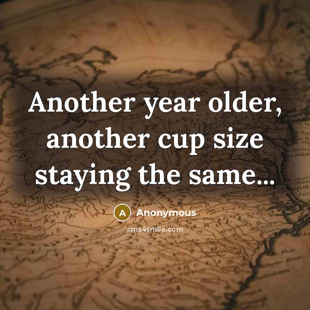 “Another year older, another cup size staying the same...” quote by Anonymous