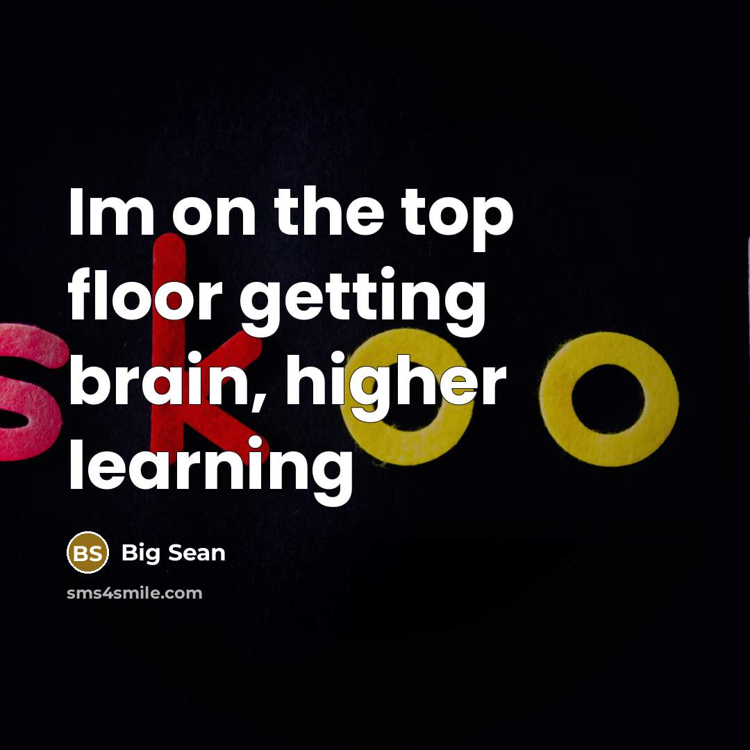 “Im on the top floor getting brain, higher learning” quote by Big Sean