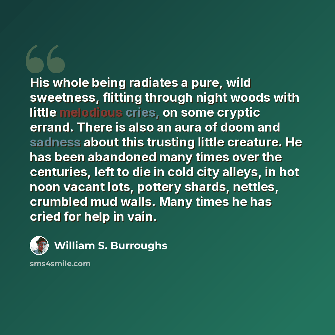 “His whole being radiates a pure, wild sweetness, flitting through night woods with little melodious cries, on some cryptic errand. There is also an aura of doom and sadness about this trusting little creature. He has been abandoned many times over the centuries, left to die in cold city alleys, in…” quote by William S. Burroughs