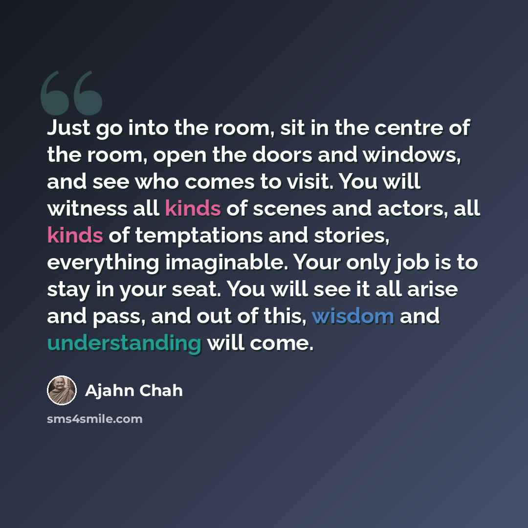 “Just go into the room, sit in the centre of the room, open the doors and windows, and see who comes to visit. You will witness all kinds of scenes and actors, all kinds of temptations and stories, everything imaginable. Your only job is to stay in your seat. You will see it all arise and pass, and…” quote by Ajahn Chah