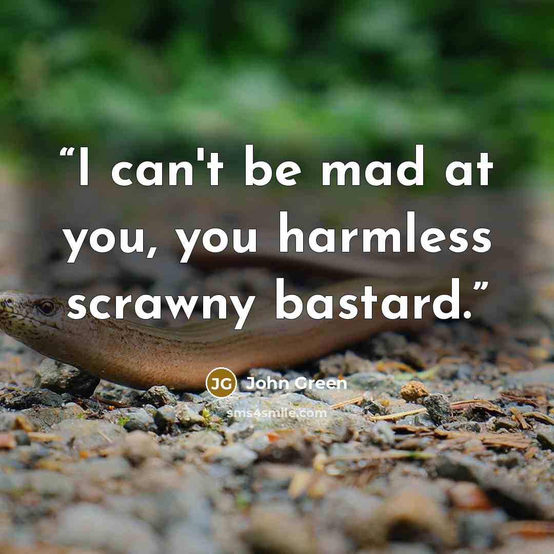 “I can't be mad at you, you harmless scrawny bastard.” quote by John Green