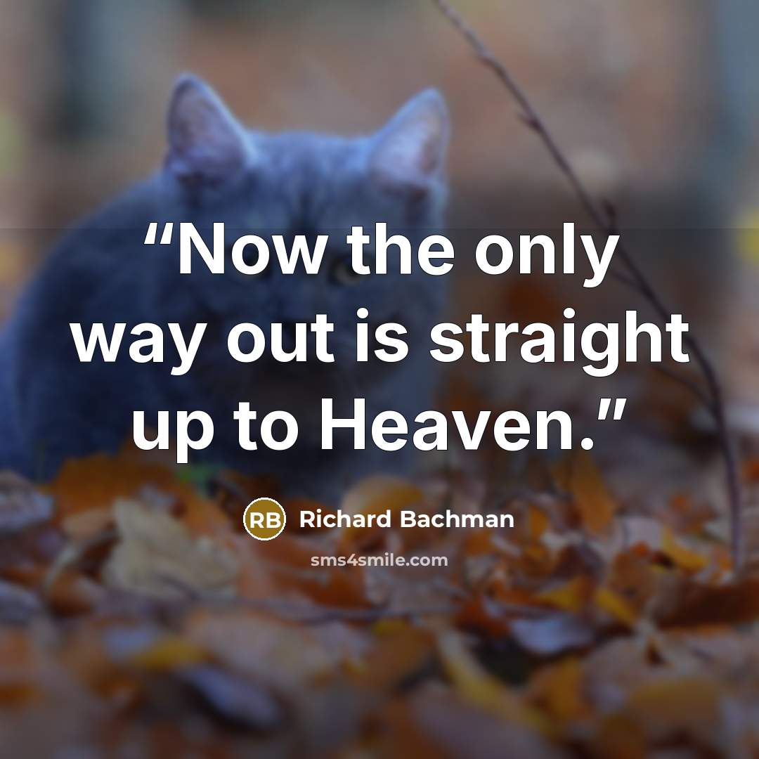 “Now the only way out is straight up to Heaven.” quote by Richard Bachman
