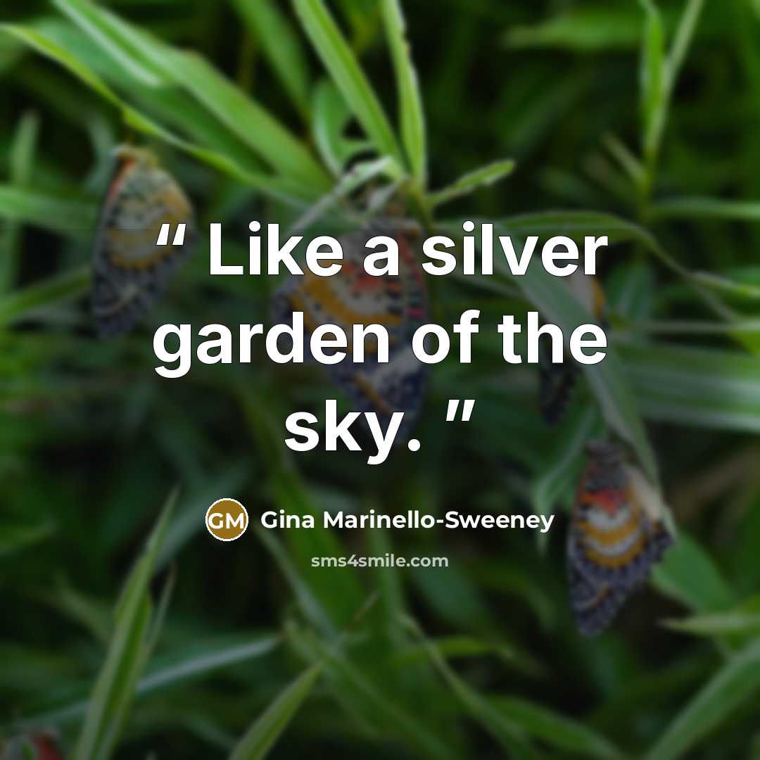 “Like a silver garden of the sky.” quote by Gina Marinello-Sweeney