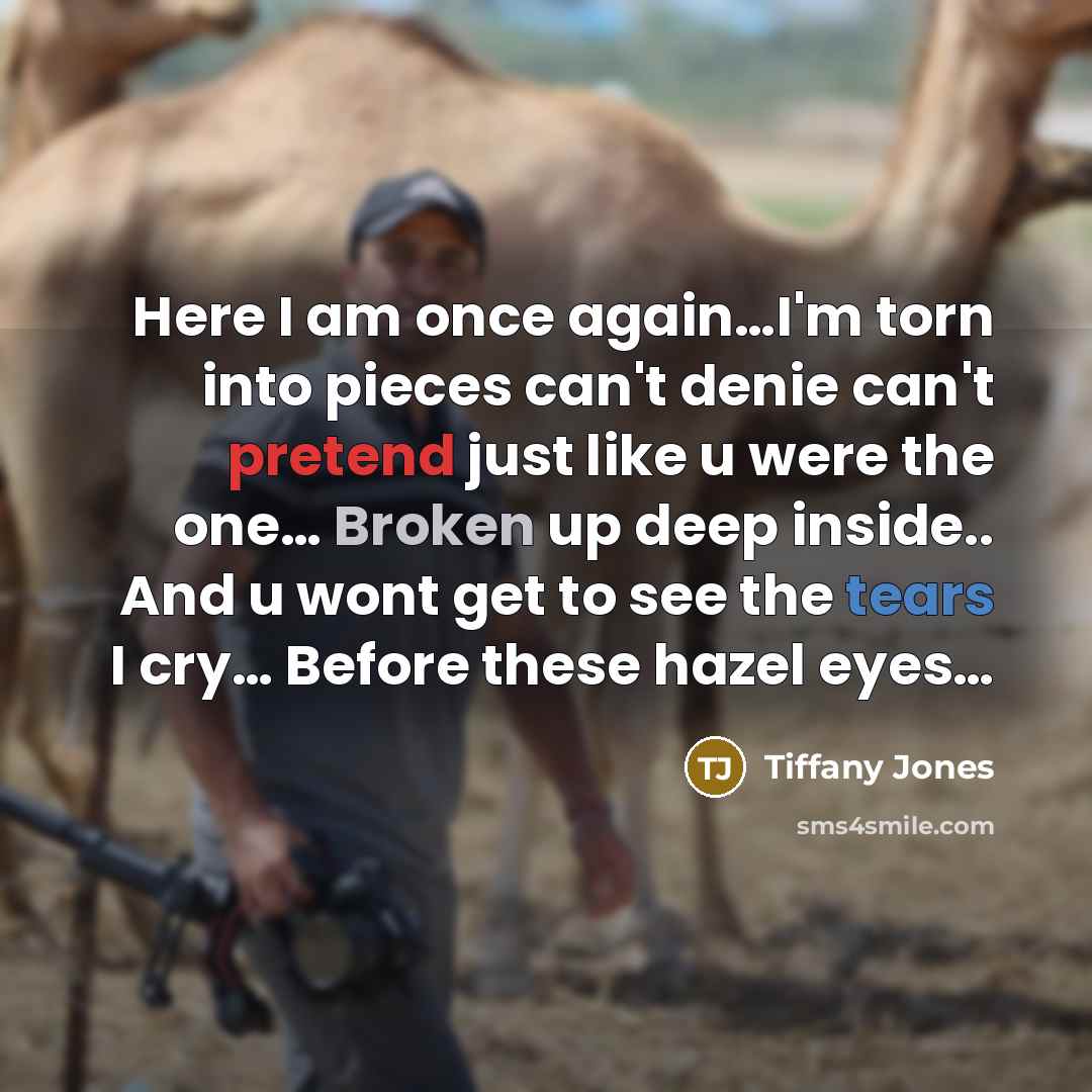 “Here I am once again…I'm torn into pieces can't denie can't pretend just like u were the one… Broken up deep inside.. And u wont get to see the tears I cry… Before these hazel eyes…” quote by Tiffany Jones