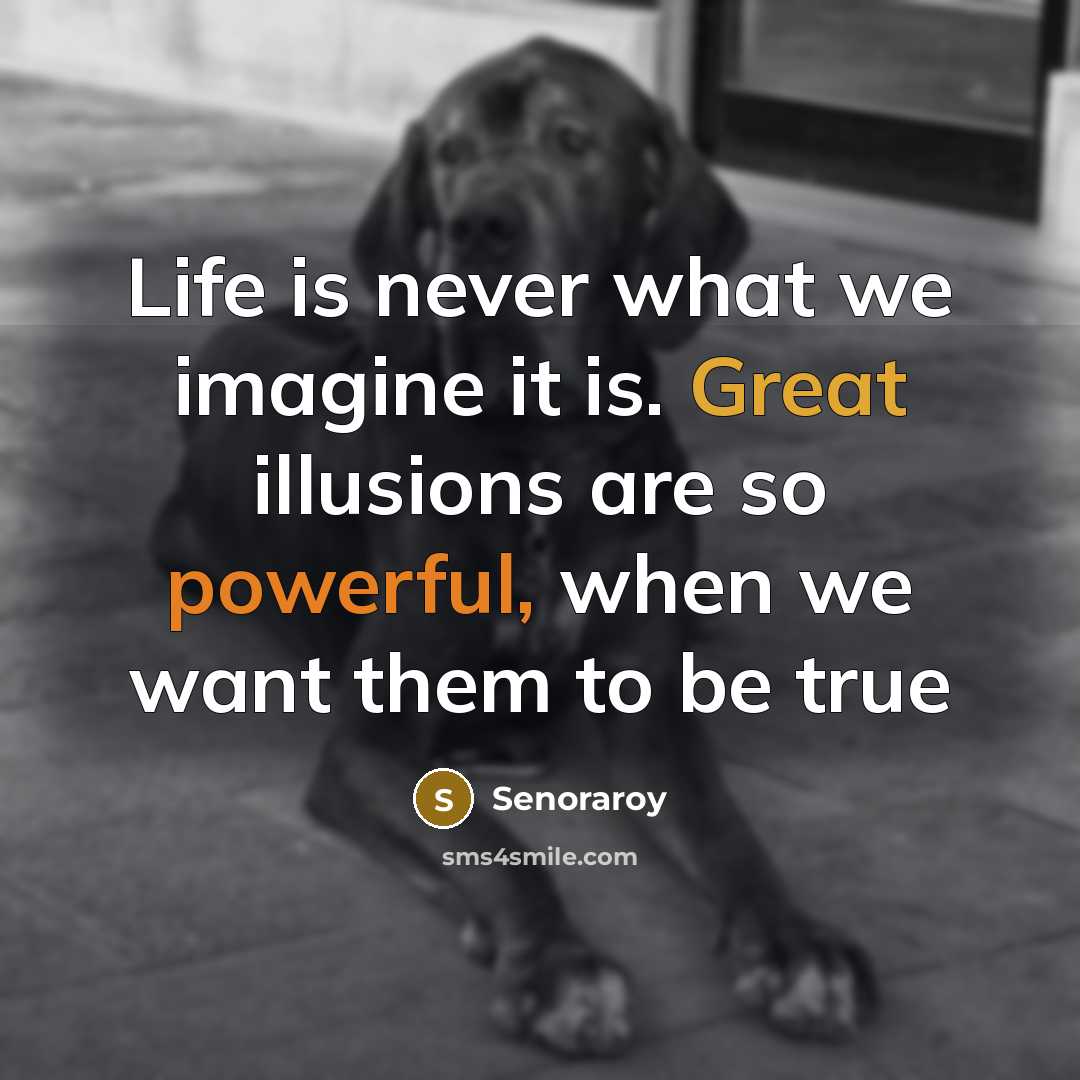 “Life is never what we imagine it is. Great illusions are so powerful, when we want them to be true” quote by Senoraroy