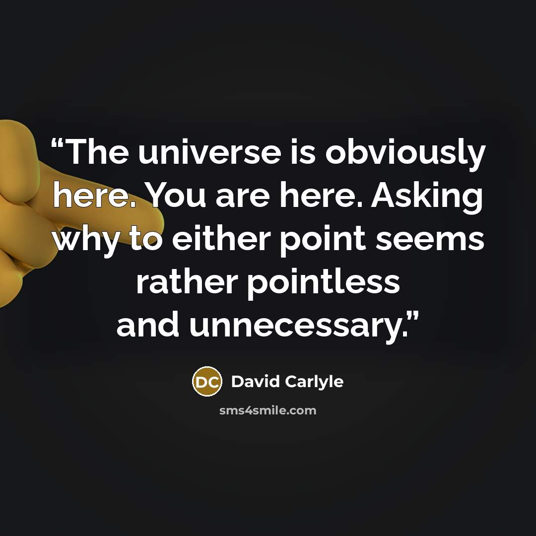 “The universe is obviously here. You are here. Asking why to either point seems rather pointless and unnecessary.” quote by David Carlyle