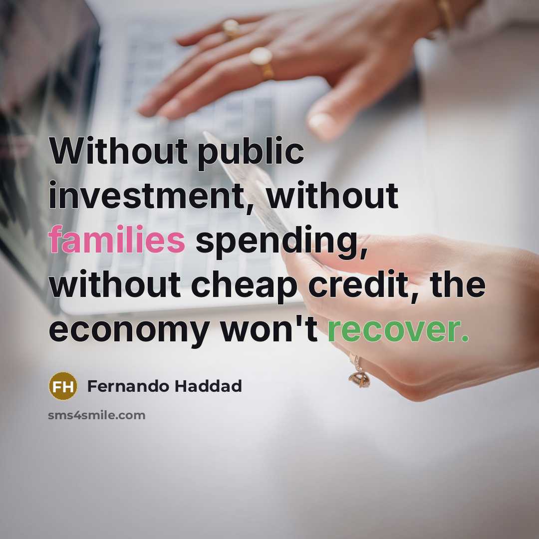 “Without public investment, without families spending, without cheap credit, the economy won't recover.” quote by Fernando Haddad