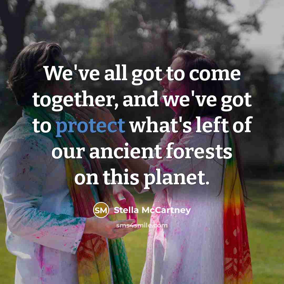 “We've all got to come together, and we've got to protect what's left of our ancient forests on this planet.” quote by Stella McCartney