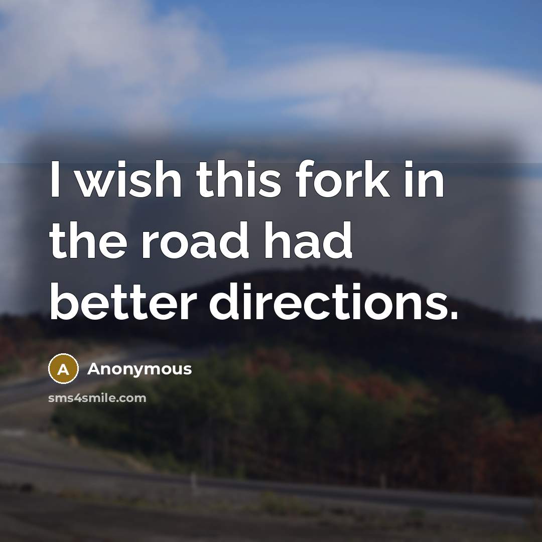 “I wish this fork in the road had better directions.” quote by Anonymous