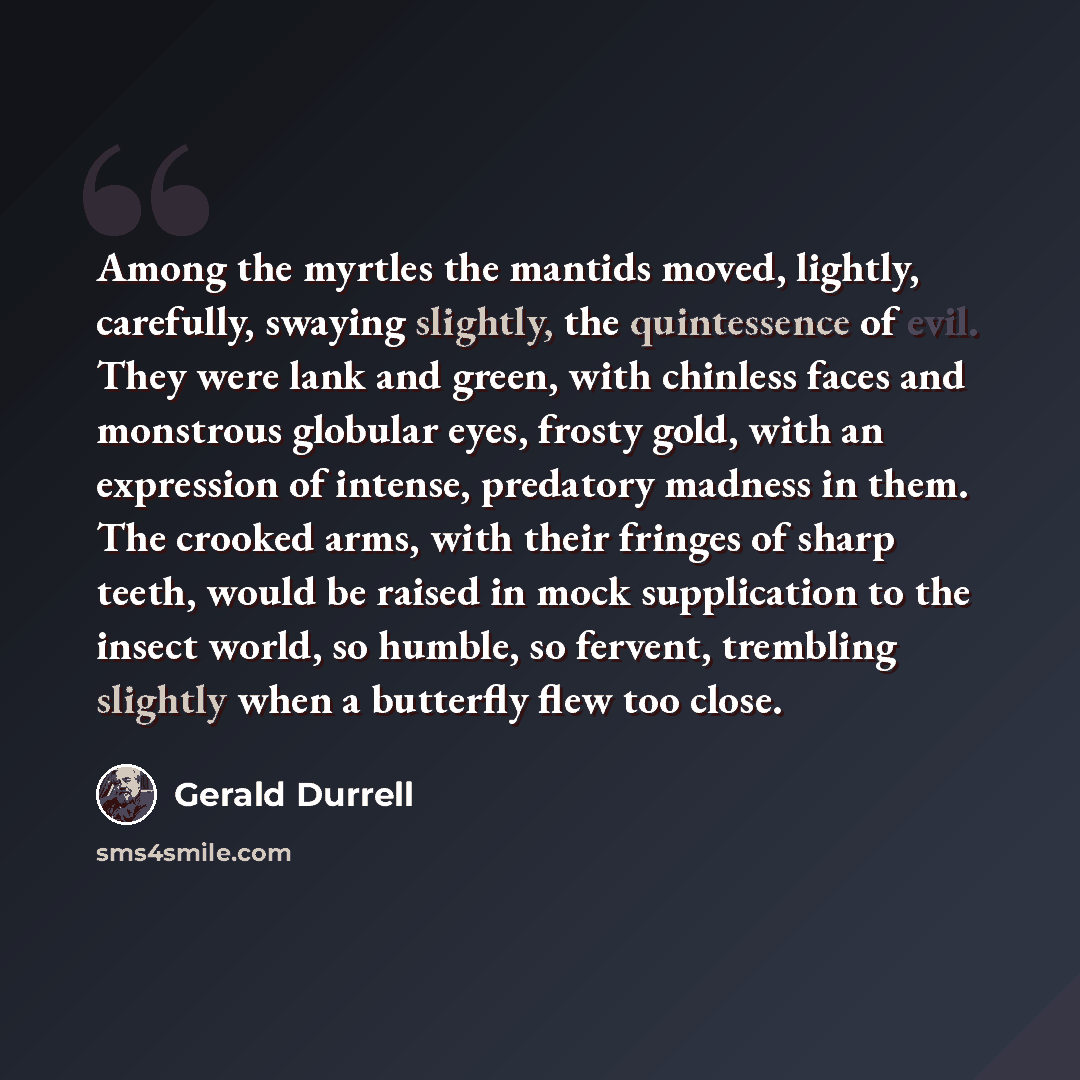 “Among the myrtles the mantids moved, lightly, carefully, swaying slightly, the quintessence of evil. They were lank and green, with chinless faces and monstrous globular eyes, frosty gold, with an expression of intense, predatory madness in them. The crooked arms, with their fringes of sharp…” quote by Gerald Durrell