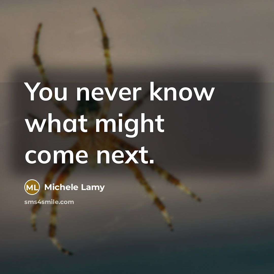 “You never know what might come next.” quote by Michele Lamy