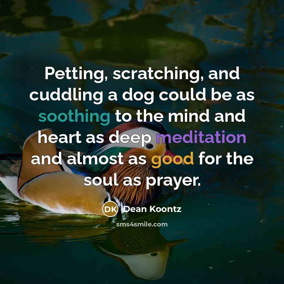 “Petting, scratching, and cuddling a dog could be as soothing to the mind and heart as deep meditation and almost as good for the soul as prayer.” quote by Dean Koontz