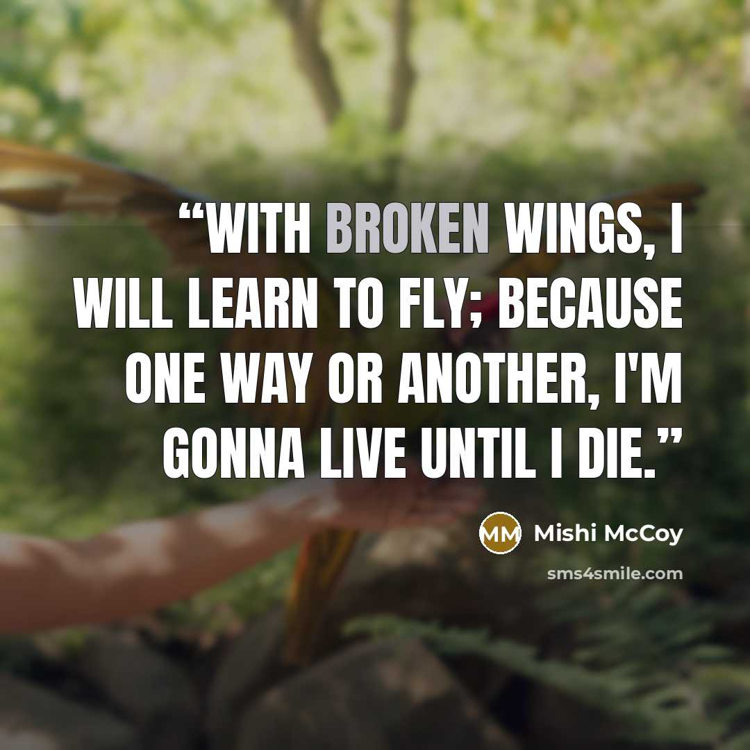 “With broken wings, I will learn to fly; because one way or another, I'm gonna live until I die.” quote by Mishi McCoy