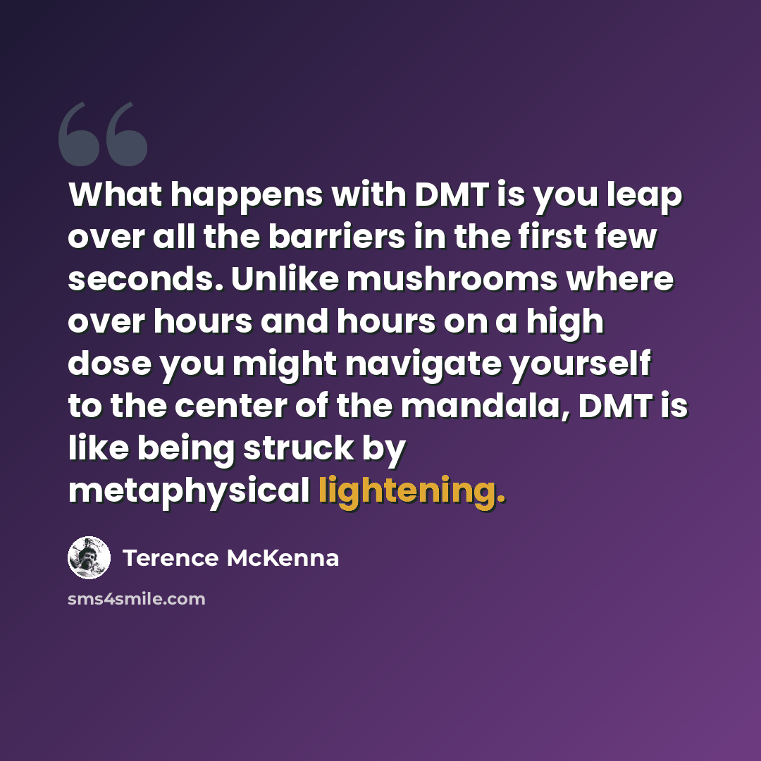 “What happens with DMT is you leap over all the barriers in the first few seconds. Unlike mushrooms where over hours and hours on a high dose you might navigate yourself to the center of the mandala, DMT is like being struck by metaphysical lightening.” quote by Terence McKenna