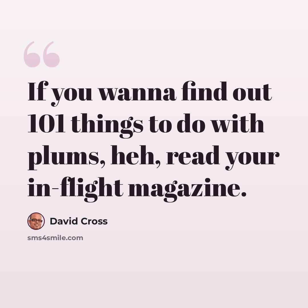 “If you wanna find out 101 things to do with plums, heh, read your in-flight magazine.” quote by David Cross