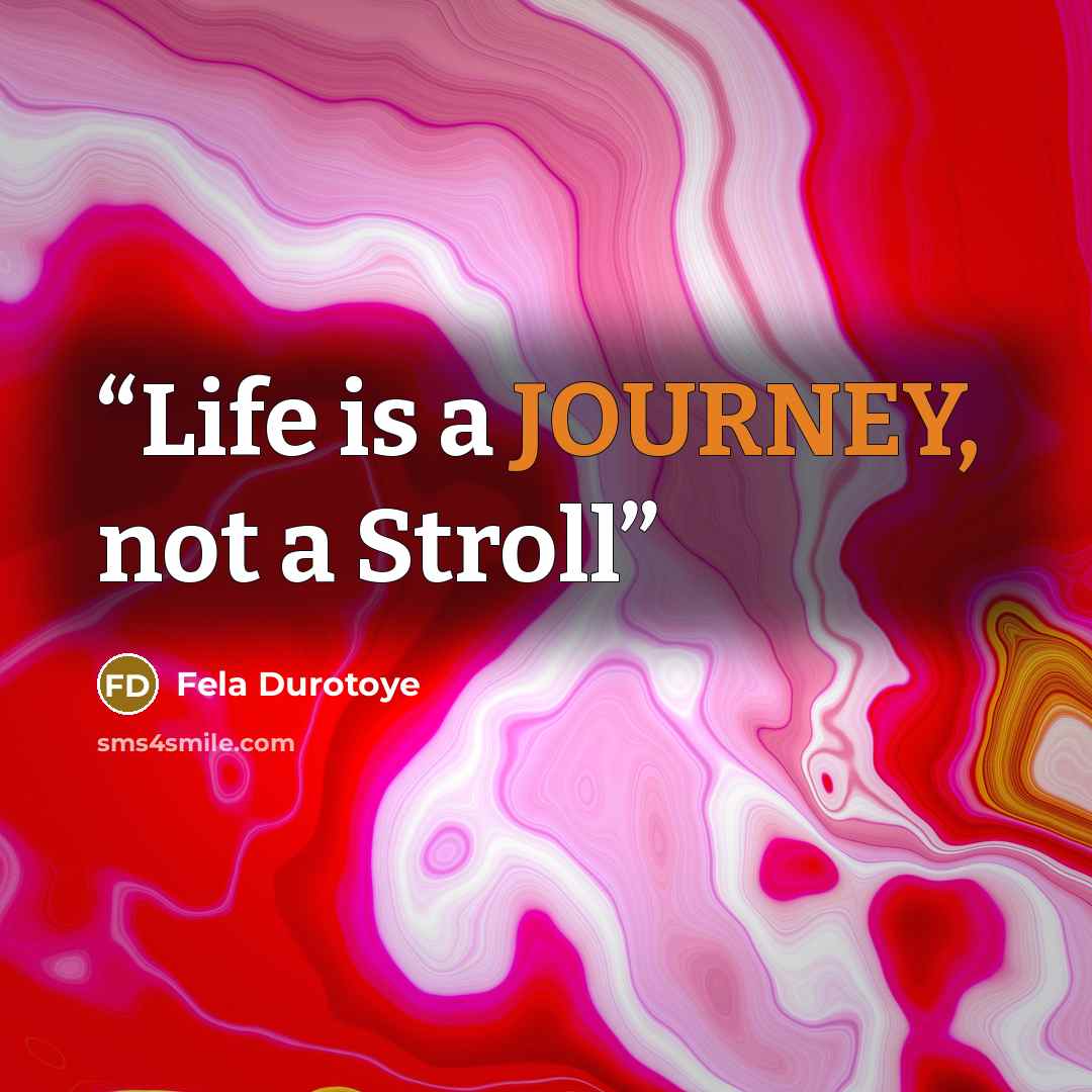 “Life is a JOURNEY, not a Stroll” quote by Fela Durotoye