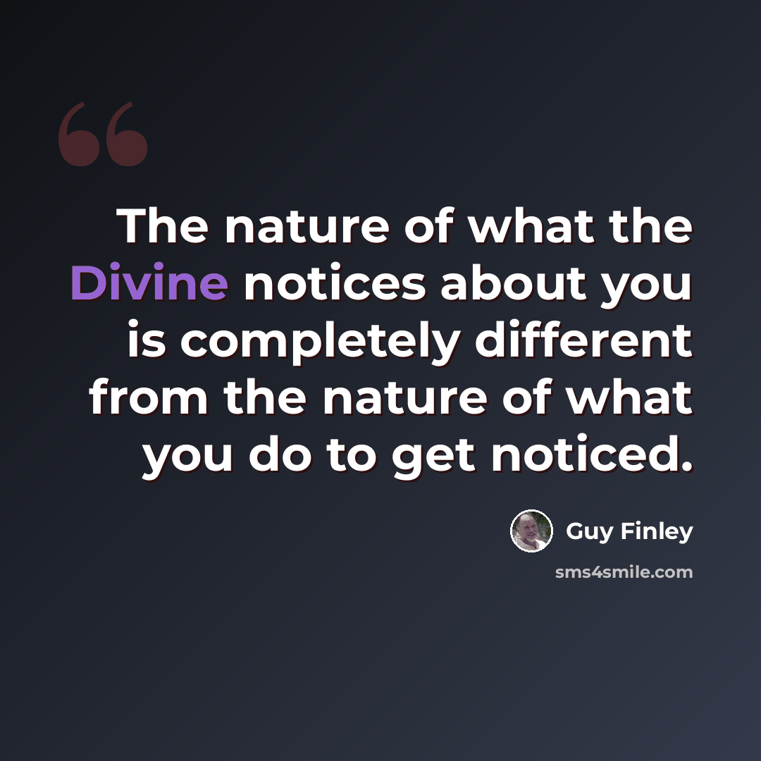 “The nature of what the Divine notices about you is completely different from the nature of what you do to get noticed.” quote by Guy Finley