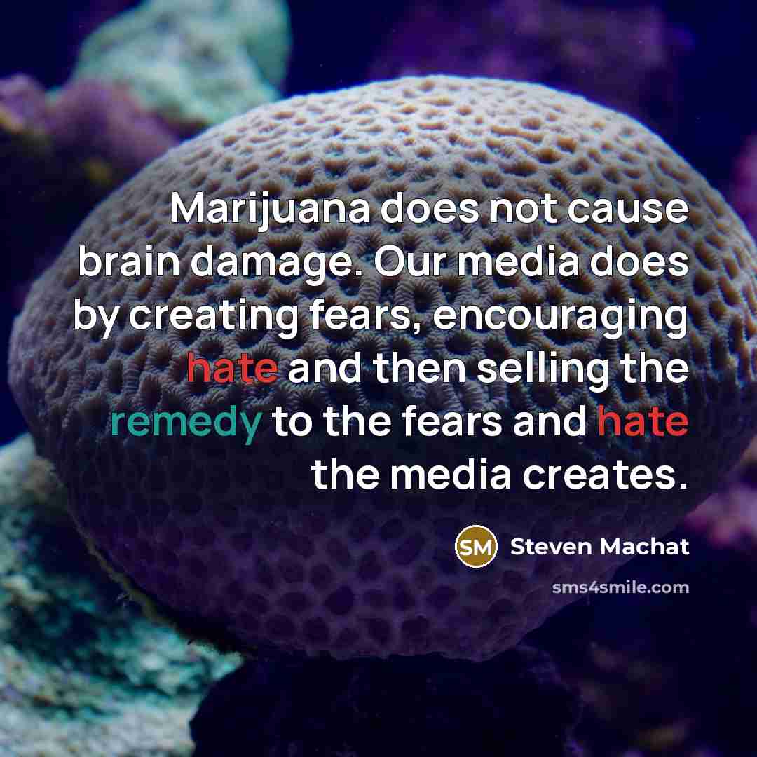“Marijuana does not cause brain damage. Our media does by creating fears, encouraging hate and then selling the remedy to the fears and hate the media creates.” quote by Steven Machat
