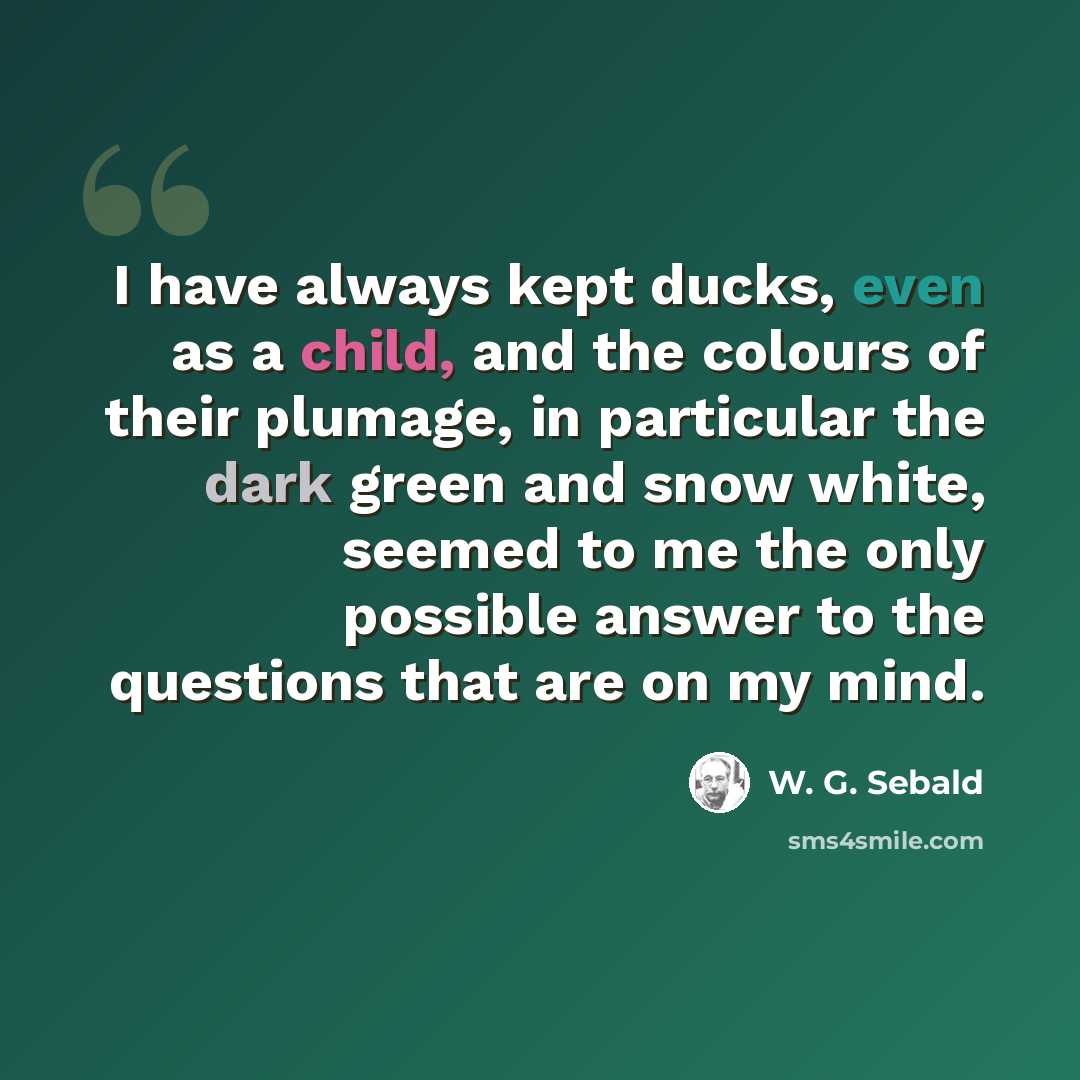 “I have always kept ducks, even as a child, and the colours of their plumage, in particular the dark green and snow white, seemed to me the only possible answer to the questions that are on my mind.” quote by W. G. Sebald