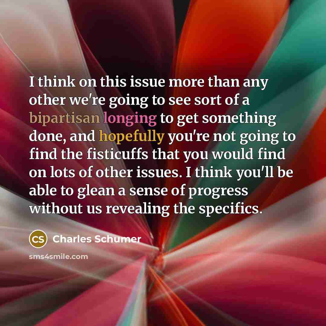 “I think on this issue more than any other we're going to see sort of a bipartisan longing to get something done, and hopefully you're not going to find the fisticuffs that you would find on lots of other issues. I think you'll be able to glean a sense of progress without us revealing the specifics.” quote by Charles Schumer
