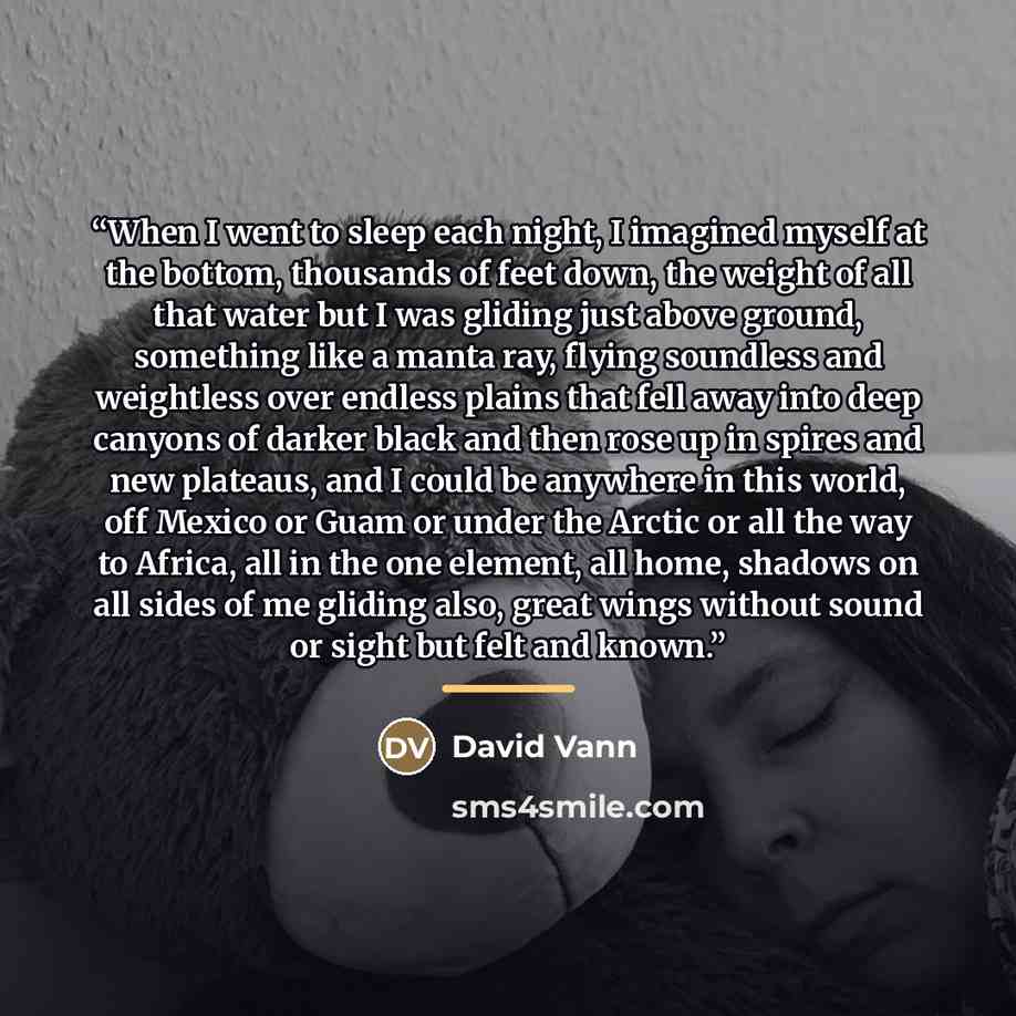 “When I went to sleep each night, I imagined myself at the bottom, thousands of feet down, the weight of all that water but I was gliding just above ground, something like a manta ray, flying soundless and weightless over endless plains that fell away into deep canyons of darker black and then rose…” quote by David Vann