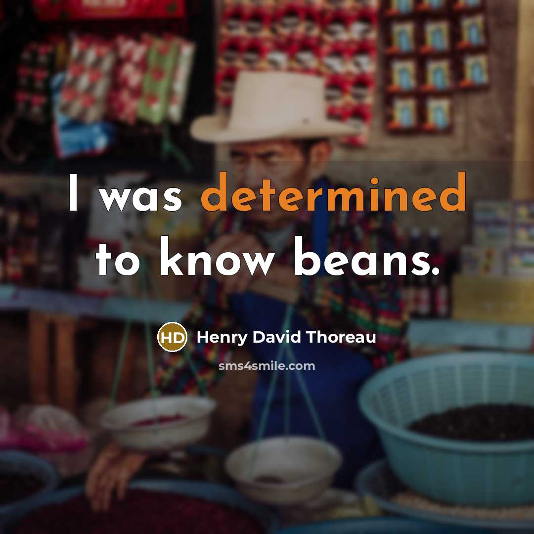 “I was determined to know beans.” quote by Henry David Thoreau