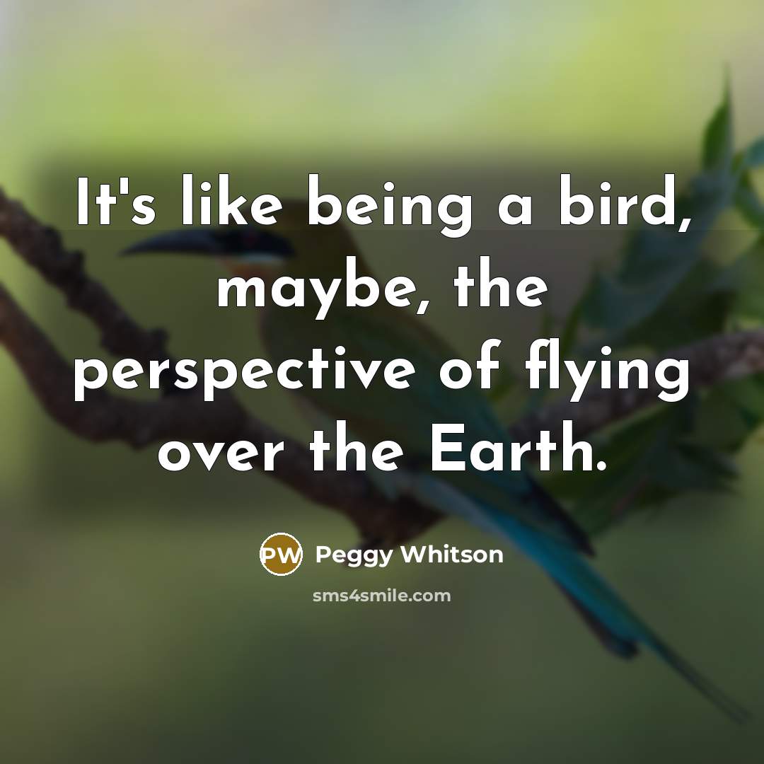 “It's like being a bird, maybe, the perspective of flying over the Earth.” quote by Peggy Whitson