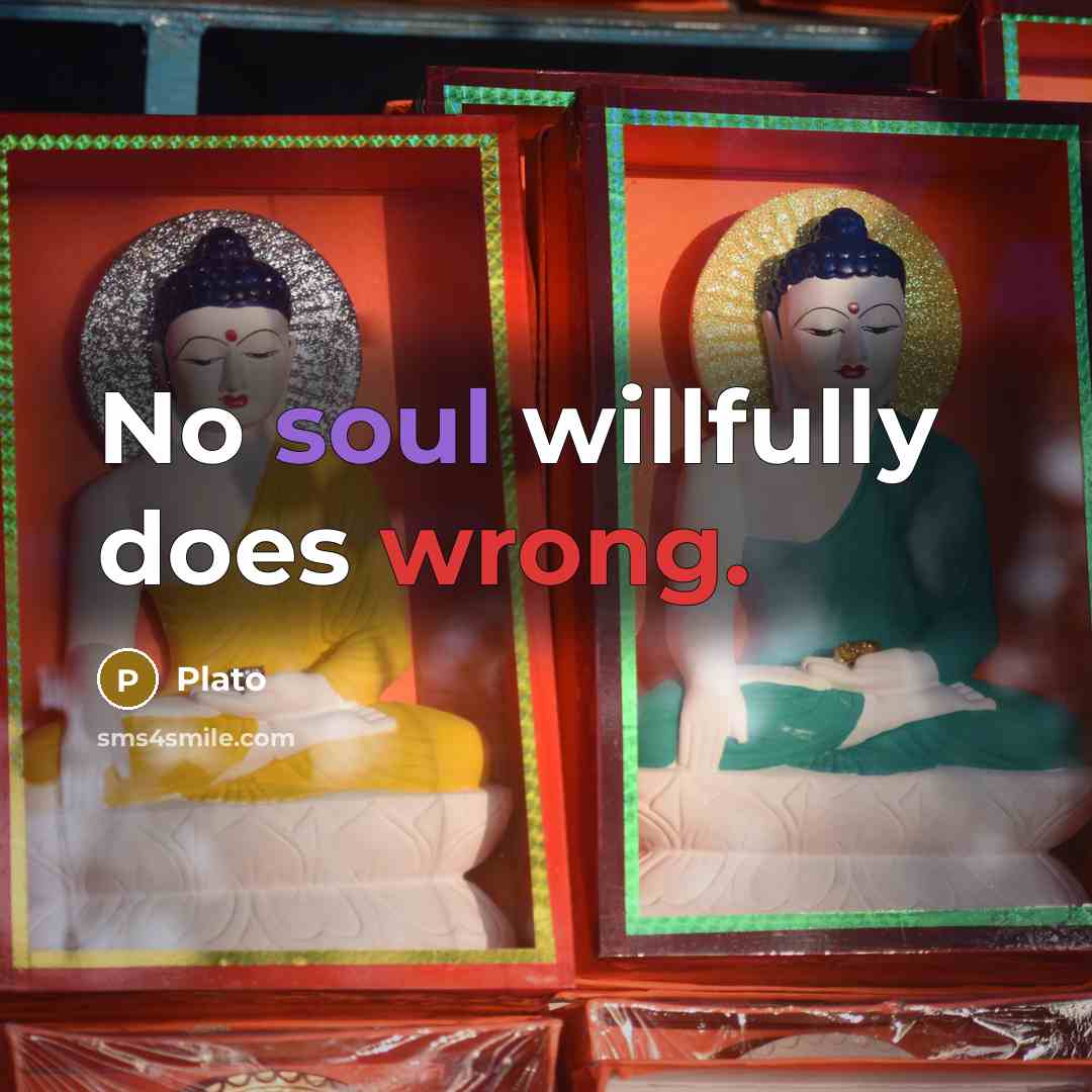 “No soul willfully does wrong.” quote by Plato