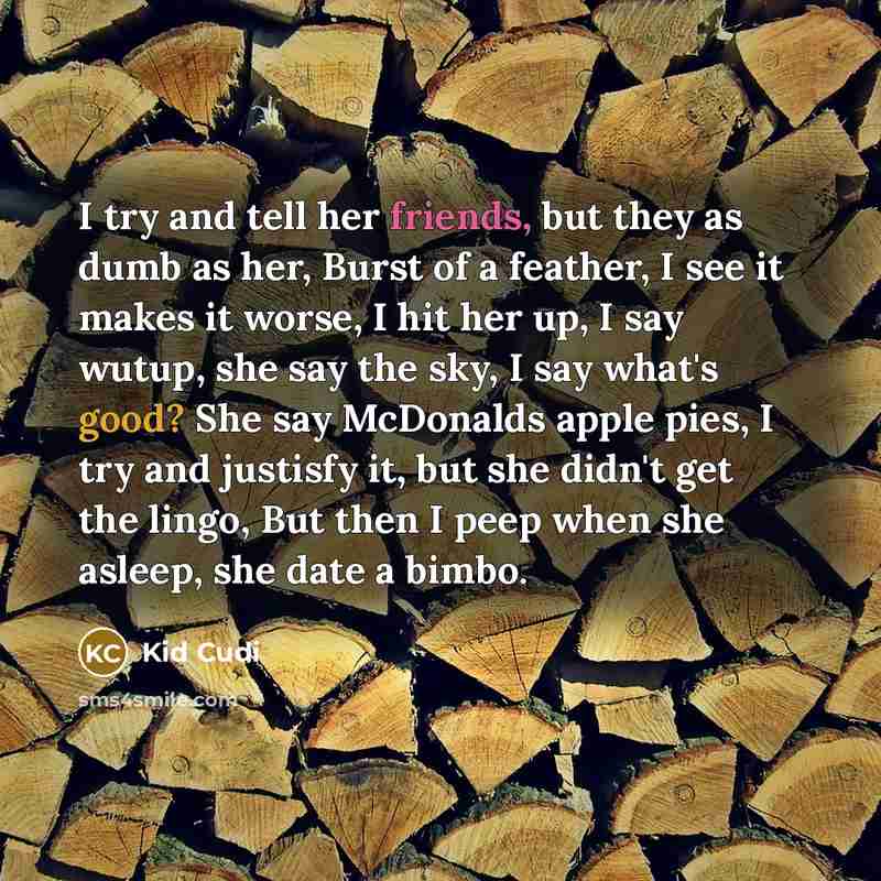 “I try and tell her friends, but they as dumb as her, Burst of a feather, I see it makes it worse, I hit her up, I say wutup, she say the sky, I say what's good? She say McDonalds apple pies, I try and justisfy it, but she didn't get the lingo, But then I peep when she asleep, she date a bimbo.” quote by Kid Cudi