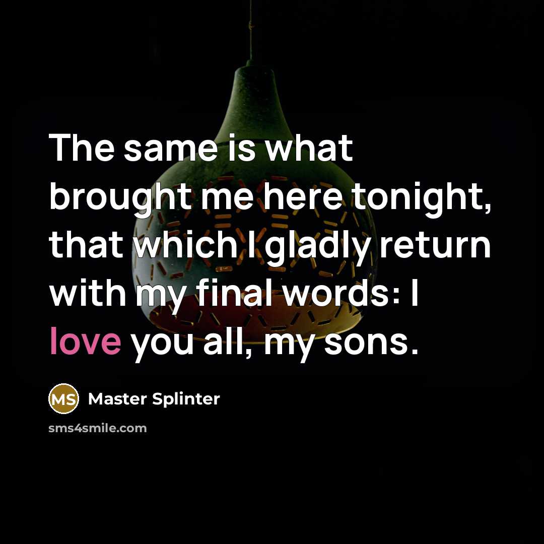 “The same is what brought me here tonight, that which I gladly return with my final words: I love you all, my sons.” quote by Master Splinter